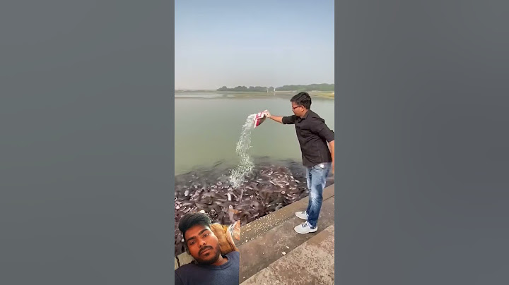 भूख सबको लगती है बस कोई कह सकता है कोई सिर्फ़ देखा सकता है #younickviral #trendingreel #trend #viral