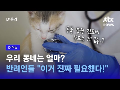 지역별 동물 병원 진료비 공개…우리 동네는 얼마?｜D:이슈