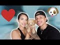 SURPRISING MY GIRLFRIEND WITH A NEW PUPPY!! ** EMOTIONAL! **