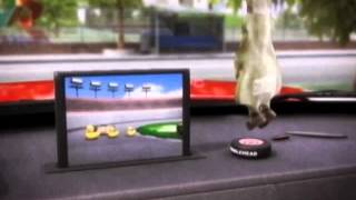 Defensive Driving Video Course