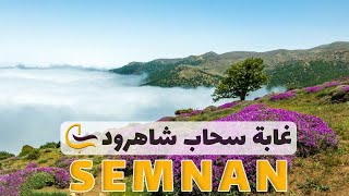 غابة شاهرود السحابية - سمنان