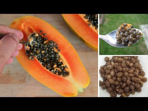 5 Surprising Health Benefits of Papaya Seeds + How to Eat It