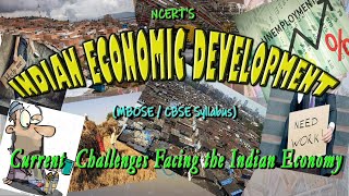 Diversification For Rural Development