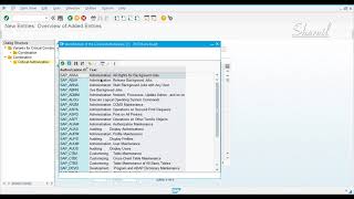 4. Critical Authorizations and Critical Combinations Report -RSUSR008_009_NEW - Part 4 of 4