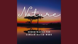 Soundtracks for Task Efficiency