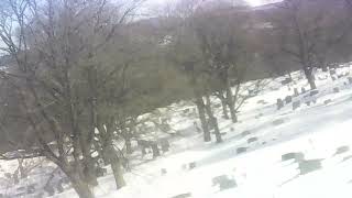 FairViewCemetery Slatington Pennsylvania HighRiskKris
