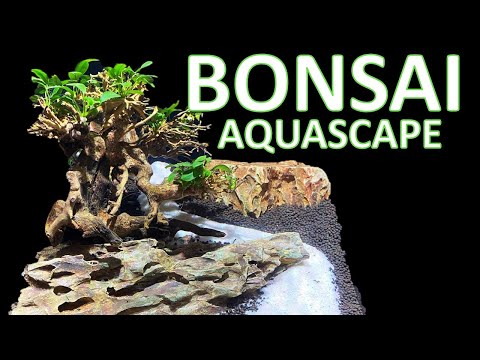anubias-bonsai-aquascape-in-the-innovative-marine-encore-20
