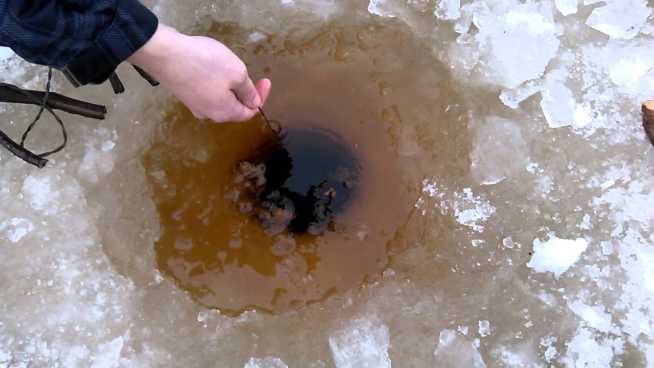 Iskukoukku hauki (7.86kg)