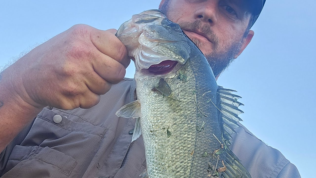 Florida pond bass fishing enjoying the beautiful outdoors