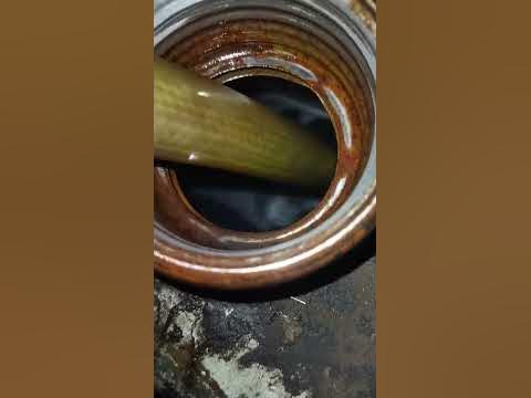 дізель - YouTube
