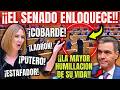 💥¡CON DOS COJ****!💥 SENADORA DESCONOCIDA de FEIJOO ¡NO SE ACOBARDA! y ANIQUILA a SANCHEZ y BEGOÑA 😱