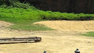 The Elephant Show at Sampran Elephant Park.