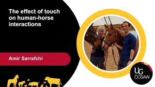 The effect of touch on human-horse interactions