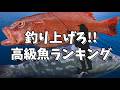 釣り上げろ!!美味しい高級魚ランキング