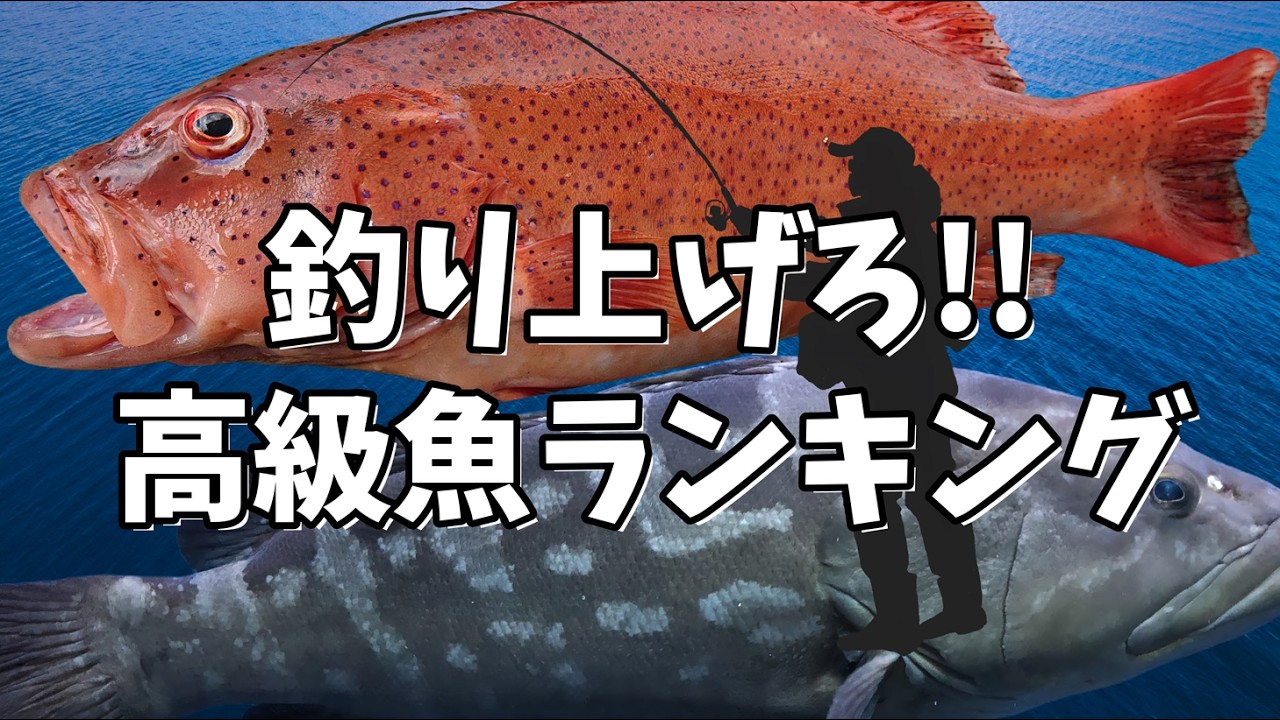 釣り上げろ!!美味しい高級魚ランキング