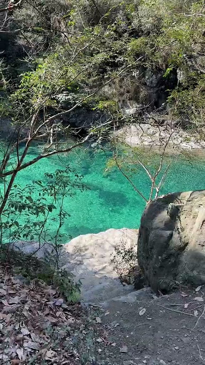 Beatiful Natural Tiktok Short Video