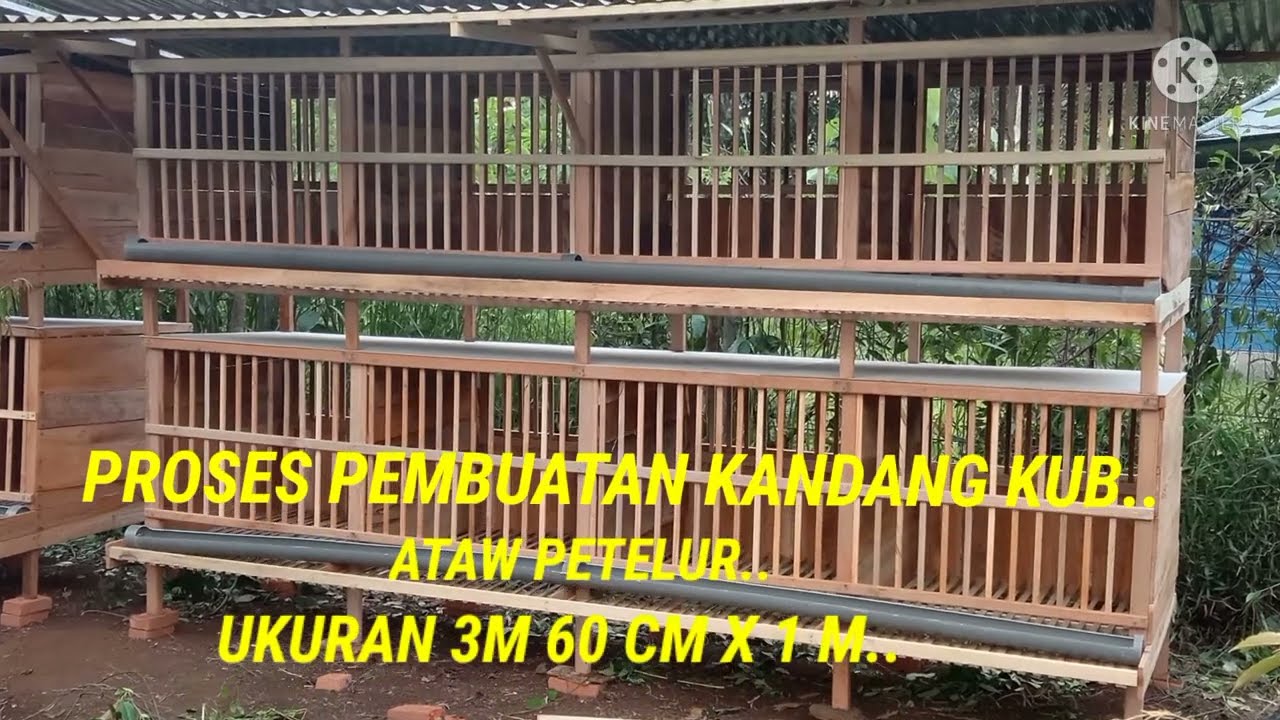 PROSES PEMBUATAN KANDANG KUB ..ATAU PETELUR. uk 3.60cm  x 1m..