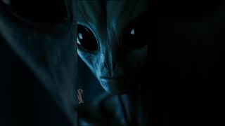 Adventures of Toothless and Dances 058  #shorts #trending #memes