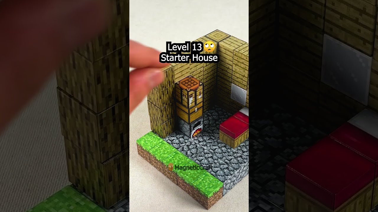 How To Make A Starter House With MAGNETIC Minecraft BLOCKS 