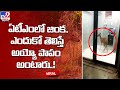 Viral video: Deer escaping from dogs becomes trapped in the ATM vestibule