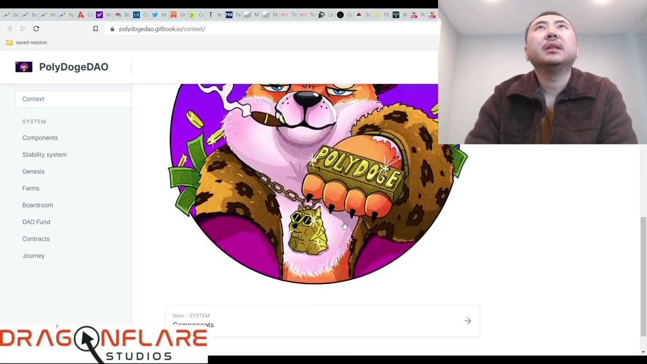 Polydoge Dao %4.5 - %12 Daily Apr Matic Tomb Fork - Earn Passive Income Online Defi Yield Farming