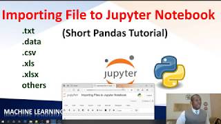 How to Import Different File Formats in Python (Jupyter Notebook + pandas)