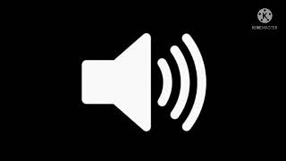 Left & Right Car Emergency Light Sound Effect