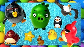 Learn Animals Names for Kids Toddlers Baby with Angry Birds, Wild Sea Animal, Mainan lagu anak-anak screenshot 3