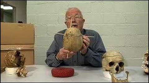 The Bone Detective-Gunshot