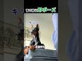 言うまでもなかったわね #犬動画 #モデル犬 #いぬのいる生活 #shorts