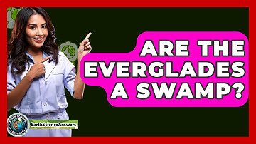Are The Everglades A Swamp? - Earth Science Answers