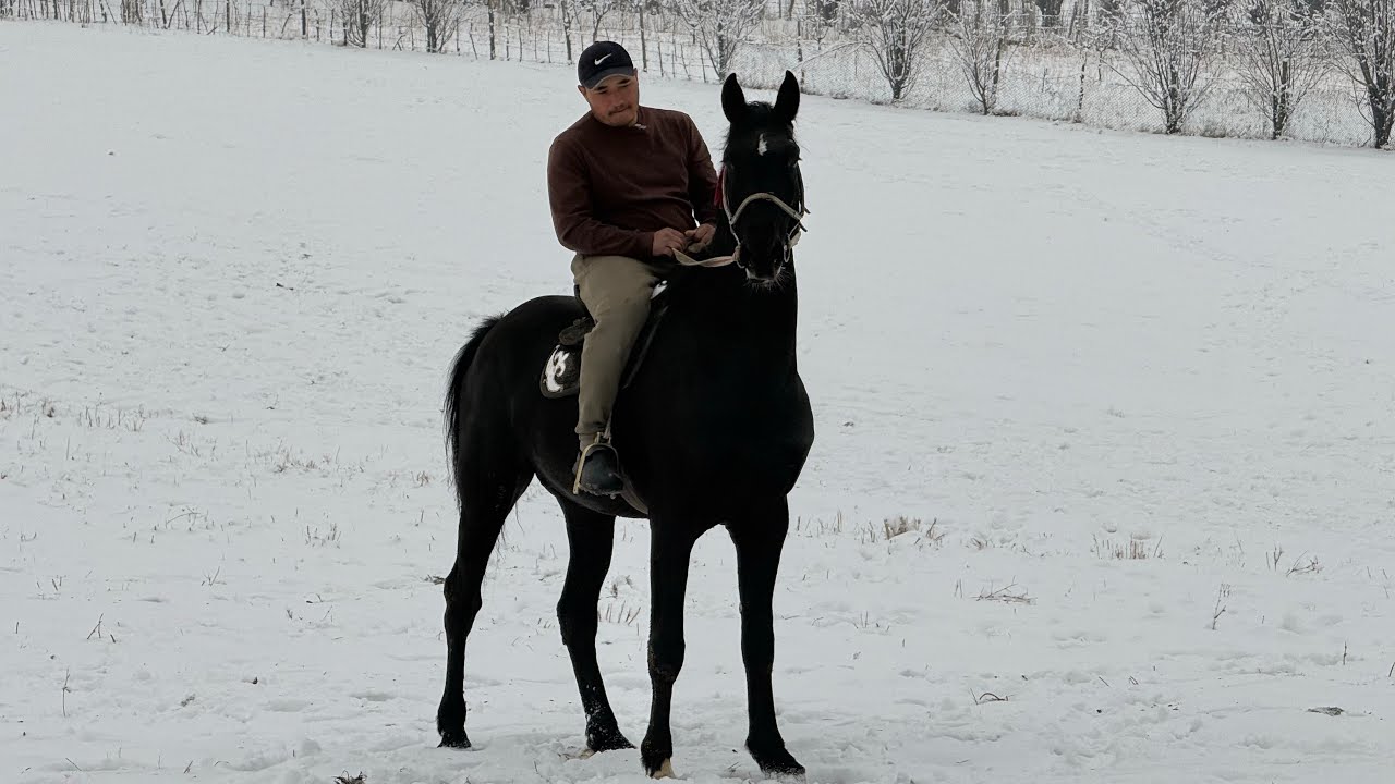 БЫШТЫНЫН МЫКТЫСЫ ЧЫКТЫГО ЧИРКИН 🤯