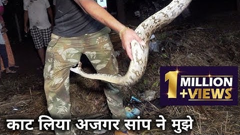 आखिर कार काट लिया अजगर सांप ने मुझे | Rescued indian rock python from Ahmednagar district, india