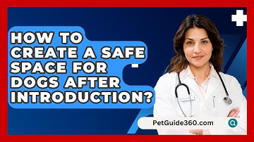 How To Create A Safe Space For Dogs After Introduction? - PetGuide360.com