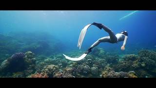 12 Experience The Freediver Underwater World.ㅣApoislandㅣShort Film Showcase