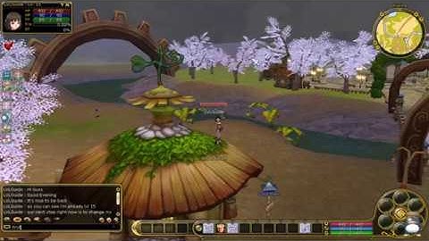 Flyff Playpark 1st Change Job from Vagrant to Magician