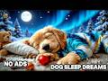 5 Hours of Relaxing Dog Music 🐶 Anti-Separation Anxiety Relief 🎵Peaceful Sleep 💖 Dog TV No Ads