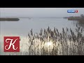 Новости культуры. Эфир от 25.11.2020 (10:00)