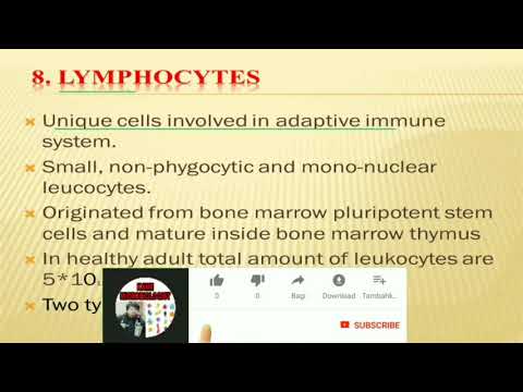 Lecture on lymphocytes ( B and T lymphocyte) in Hindi or Urdu language