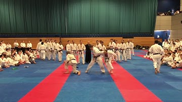2017 Atemi Nationals Open Final - Sensei Lecomber