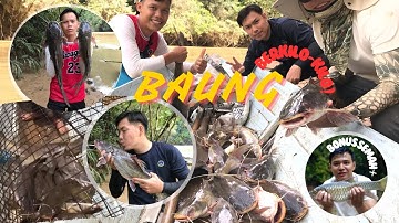 SAMPAI PATAH JORAN TAJUR!! Hasil Ikan Baung Berkilo-kilo Bonus Semah