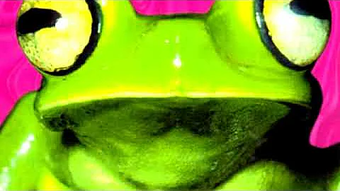 Quando finisce Fruits Basket?