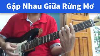 Gặp Nhau Giữa Rừng Mơ - FOX