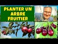 En Janvier, on plante les arbres fruitiers !