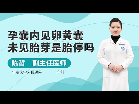 孕囊內見卵黃囊未見胎芽是胎停嗎