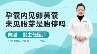 孕囊內見卵黃囊未見胎芽是胎停嗎