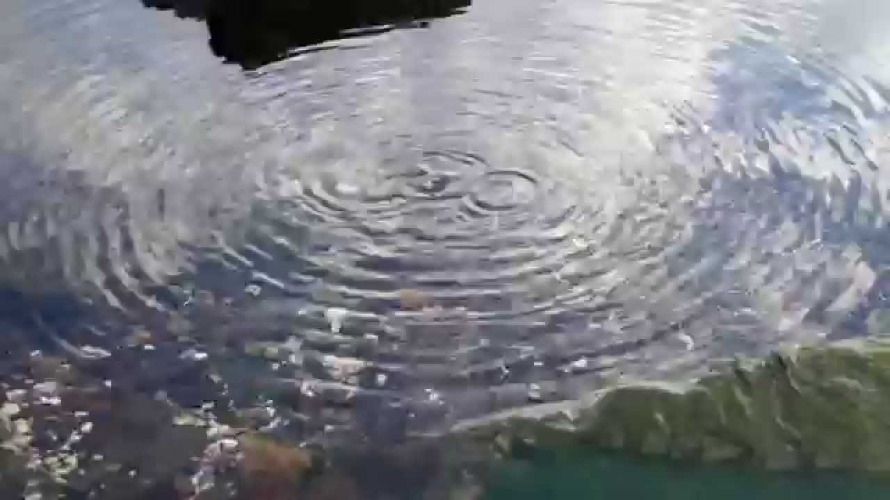 YouTube player