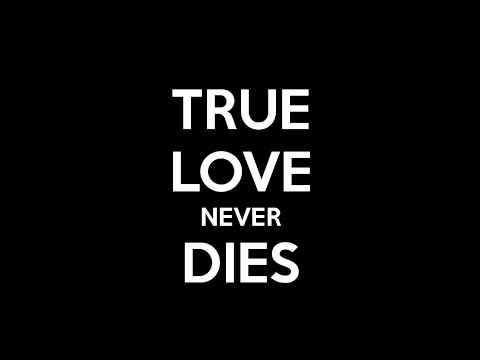 Never can true die love What True