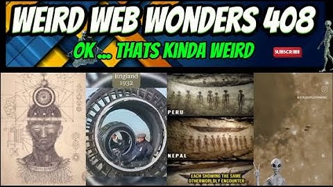 weird web wonders 408