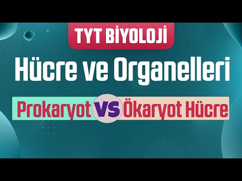 Video: Vücudunuzdaki hücreler prokaryotik mi yoksa ökaryotik mi?